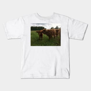 Scottish Highland Cattle Calves 1445 Kids T-Shirt